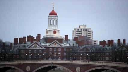 Harvard’s class of 2021 is majority nonwhite