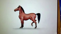 Comment dessiner un cheval facilement [Tutoriel]