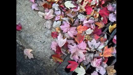 Αποφραξεις Χαλάνδρι – 2106852718 – Apofraχeis Xalandri