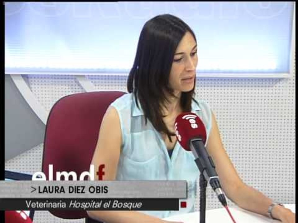 Mascotas: Los mejores cuidados para los hurones - 23/09/14