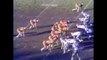 1971-01-03 NFC Championship Game Dallas Cowboys vs San Francisco 49ers