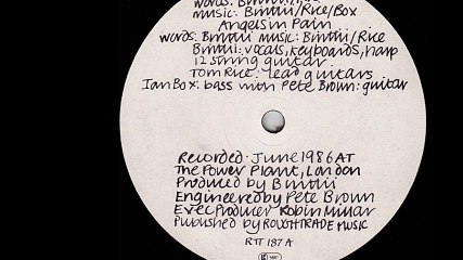 Princess Tinymeat - Angels In Pain (A2)