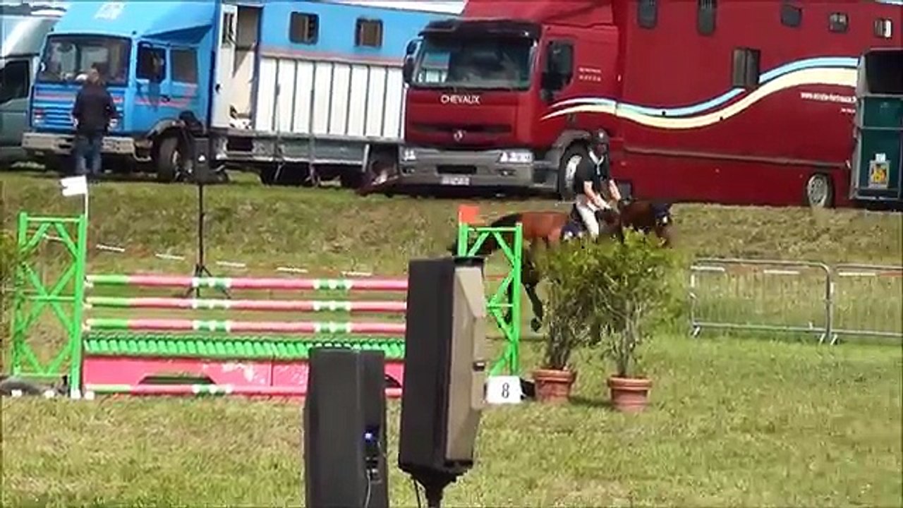 2012 - Selle FranÃ§ais Gelding (Rock'n Roll Semilly x Socrate de ChivreHN.mp4