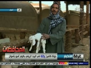 #أخبار_المحافظات | #أسوان .. جولة في البيت الريفي بكوم إمبو