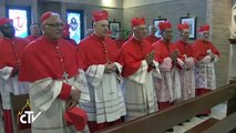 Pope Francis and new Cardinals visit Benedict XVI
