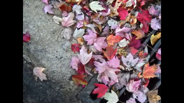 Αποφραξεις Βαρη – 210 981 9999 – Apofraxeis Bari