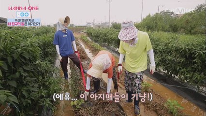 [1화] "로맨틱 드라이브 vs 콩 뽑기" 비교체험 극과 극