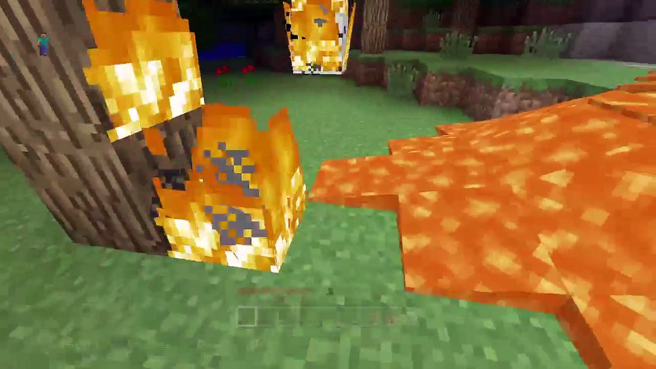Minecraft #1 (10)