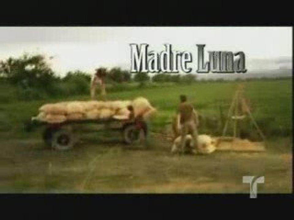 ML: entrada + cantion