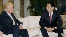 Japan' s parliament passes Pacific trade pact despite Trump promise to pull US out