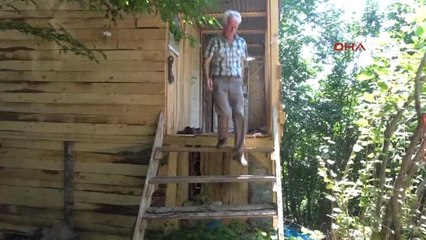 Muğla - Aydın - Karadeniz ve Ege'nin Şampiyon Boğaları Karşı Karşıya Geliyor 2