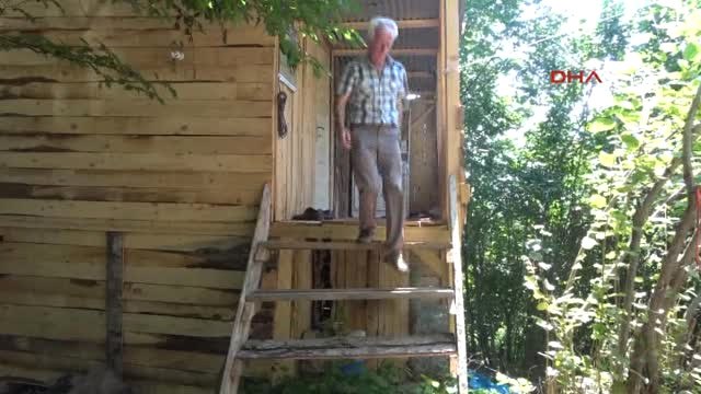 Artvin - Muğla - Aydın - Karadeniz ve Ege'nin Şampiyon Boğaları Karşı Karşıya Geliyor 1