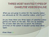 Three Most Wanted Types of Cameltoe Videos Online