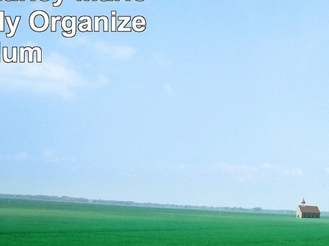 Osgoode Marley Marley Crossbody Organizer Plum