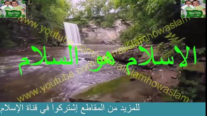 5 حيوانات امرنا الرسول بقتلها حتى لو كنا فى الحرم او فى الصلاة اعرف لماذا