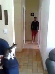 Il checke avec son chat