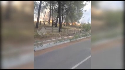 Ora News –  Zjarr masiv në kurorën e gjelbër të Elbasanit