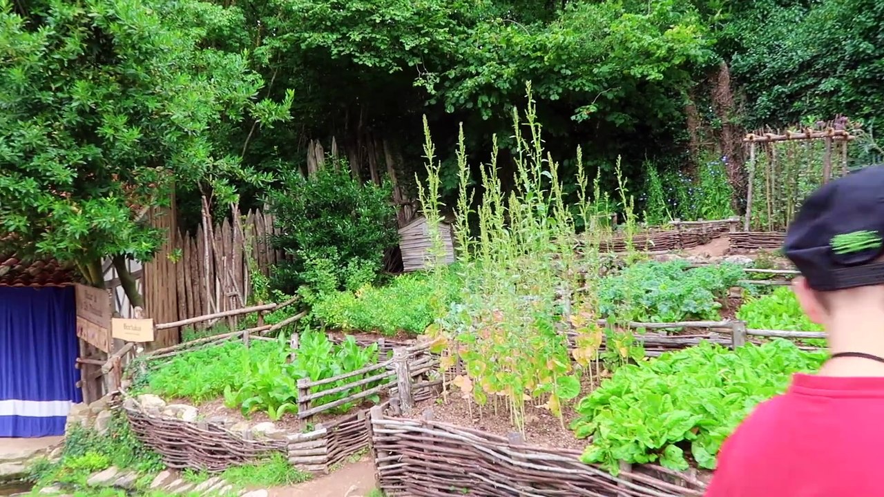 VLOG - Découverte du PUY DU FOU Meilleur Parc du Monde ! - LES VIKINGS