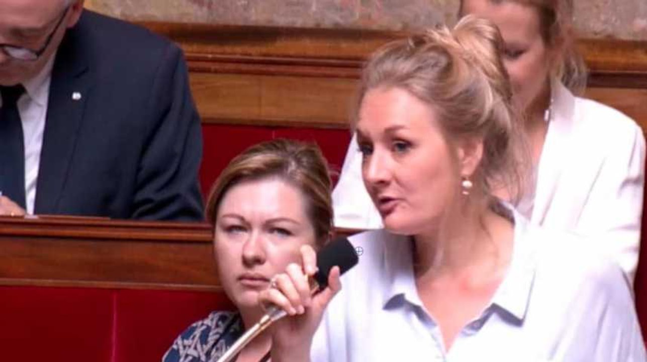 Sexisme à l'Assemblée : un élu imite une chèvre quand une députée prend la parole