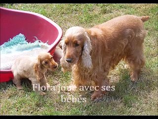 Flora joue avec ses bébés