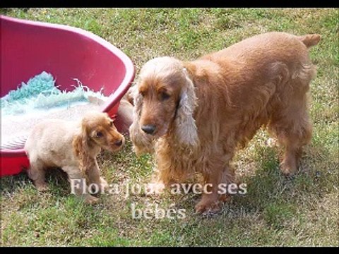 Flora joue avec ses bébés