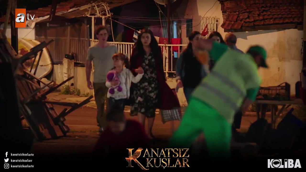 Pazarda yiyecek arayan Kanatsız Kuşlar! - Kanatsız Kuşlar 1.Bölüm