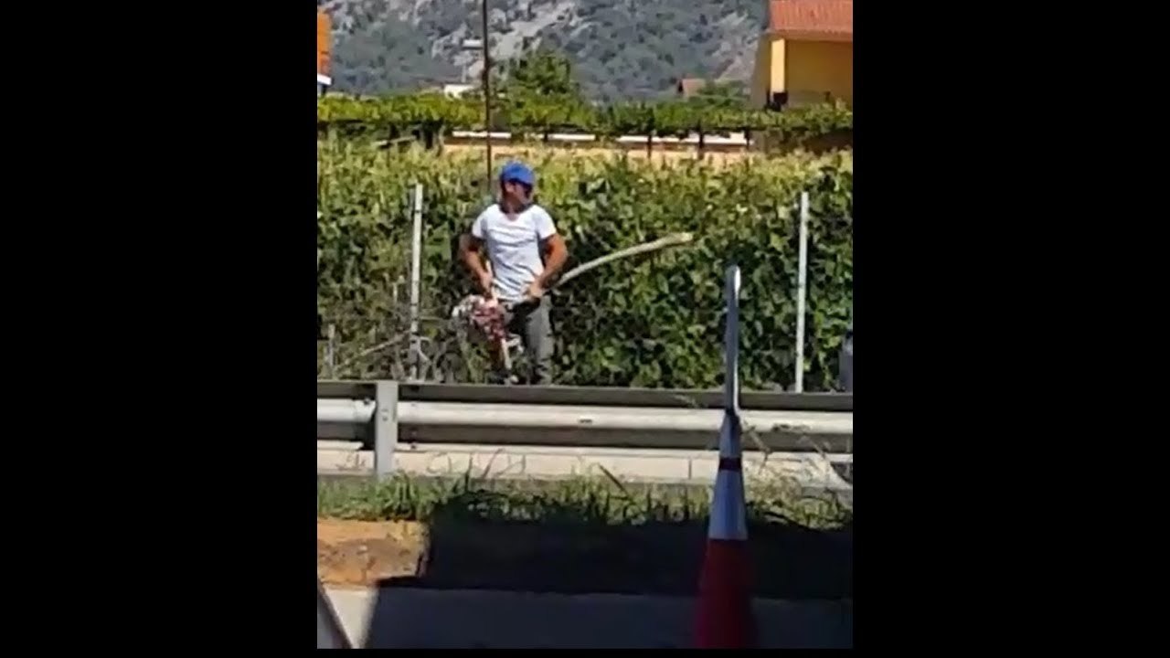 SHENGJIN PRERJA E PEMES