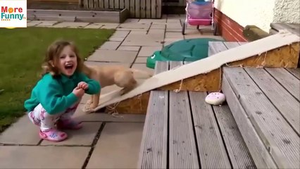 Perros chistosos Dumb dogs