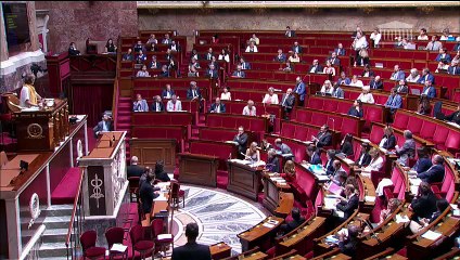 Un député imite une chèvre pendant l'intervention d'une élue LREM à l'Assemblée