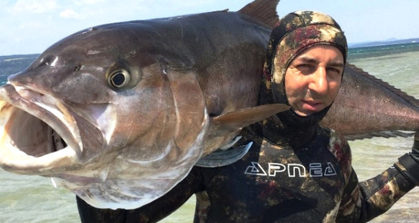 2 Metre Boyundaki 68 Kiloluk Akya Balığını Zıpkınla Avladı