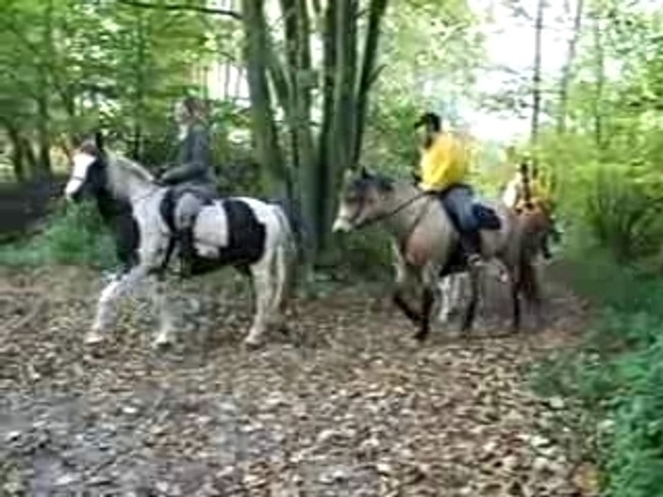 Rally Ardichamps 21.10.07 arrivée 1ère épreuve