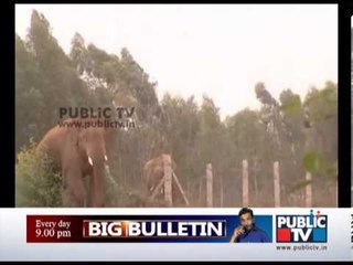 Elephant kills one person in Karnataka