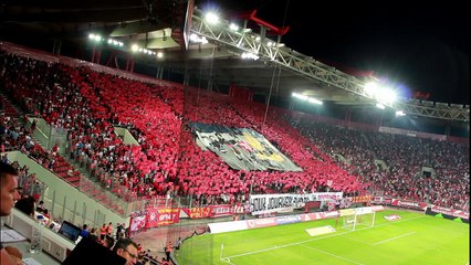 Ολυμπιακός - Παρτιζάν Θύρα 7