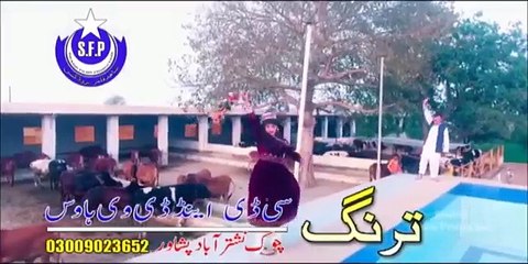 Pashto New Songs 2017 Ta Che Afghani Lebas