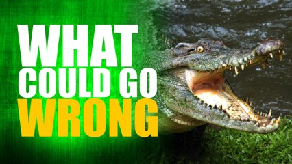 WHAT COULD GO WRONG #9