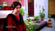 Mein Mehru Hoon Episode - 228 - 3rd August 2017