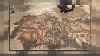 Römisches Mosaik in Südostanatolien entdeckt
