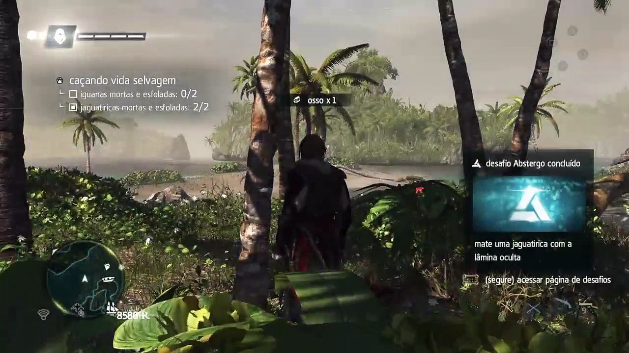 Assassin's Creed: Black Flag #3