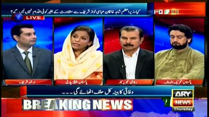 Nafisa Shah says important records burn in PML-N tenure