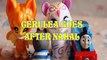 CERULEA GOES AFTER NAHAL THE GLIMMIES SHIMMER & SHINE DANNY THOMAS FRIENDS PEPPA PIG Toys BABY Videos, NICKELODEON , PIR