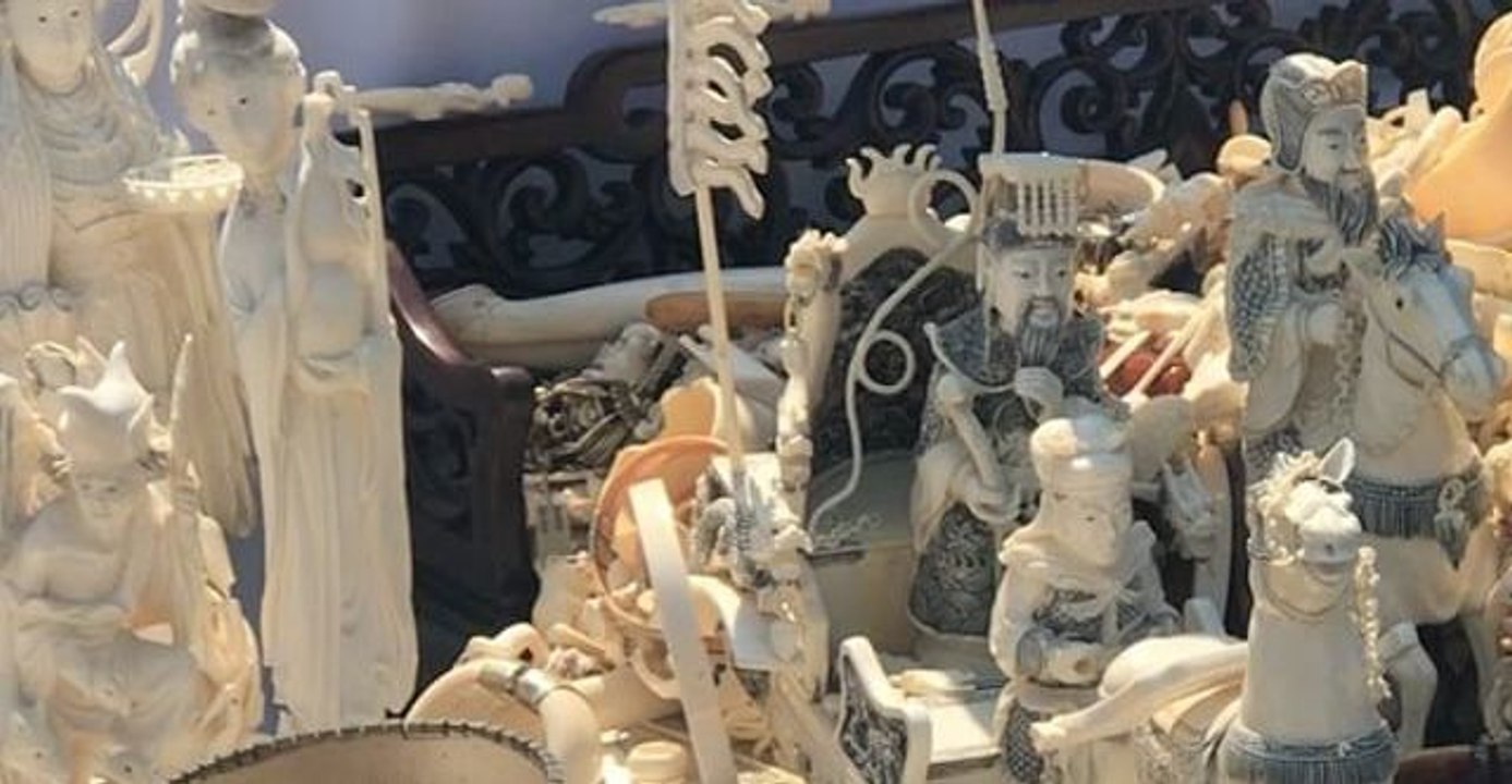 $8.5 Million in Ivory Crushed in NYC's Central Park