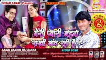 Meri Pyari Pyari Bahna Rakhi Bandh Rahi Hai,Singer - Pramod Diwana Yadav & Amita Banarji