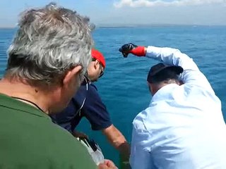 Levrek Beklerken Bakın Ne yakaladı ???