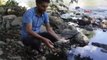 Düzce Melen Çayı'nda Balık Ölümleri Tedirgin Etti