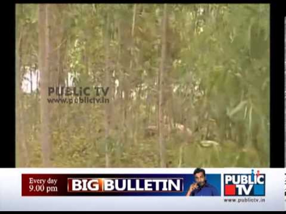 ELEPHANT ATTACK IN BANGALORE OUTSKIRTS