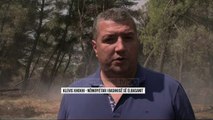 Krastë, luftë me flakët. Tymi mbulon Elbasanin - Top Channel Albania - News - Lajme