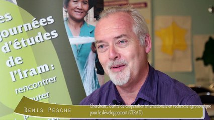 JE Iram 2017 - Interview de Denis Pesche, chercheur, Centre de coopération internationale en recherche agronomique pour le développement (CIRAD)