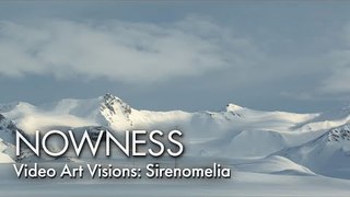 Video Art Visions: Sirenomelia