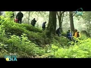 Disminuyen visitas a las zonas boscosas en Edomex