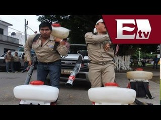 Inician fumigaciones para evitar epidemia de dengue en Guerrero / Vianey Esquinca